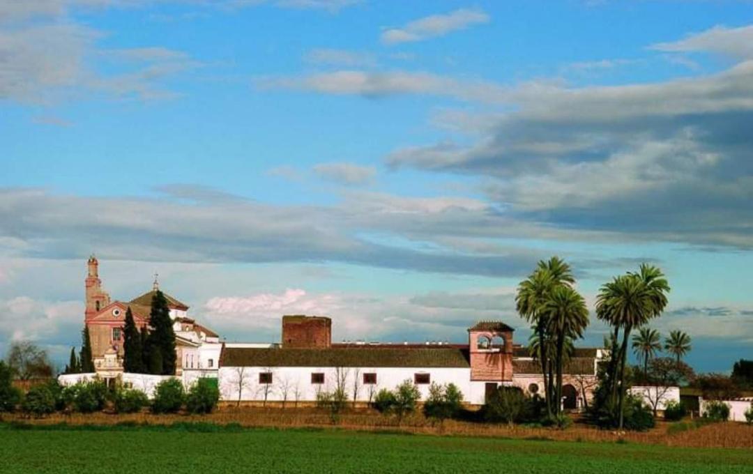 Apartamento Turistico Damajuana Parking Free Espartinas Bagian luar foto