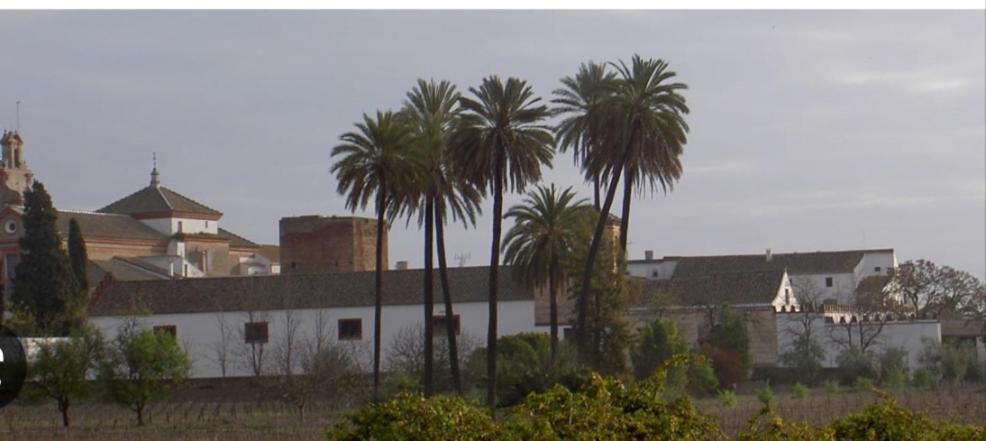Apartamento Turistico Damajuana Parking Free Espartinas Bagian luar foto